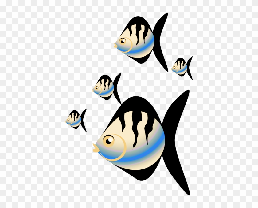 Poissons,fish - Poissons,fish #1241479