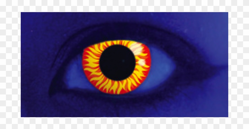 Uv Wolf Eye 3 Month Coloured Contact Lenses (mesmereyez #1241708
