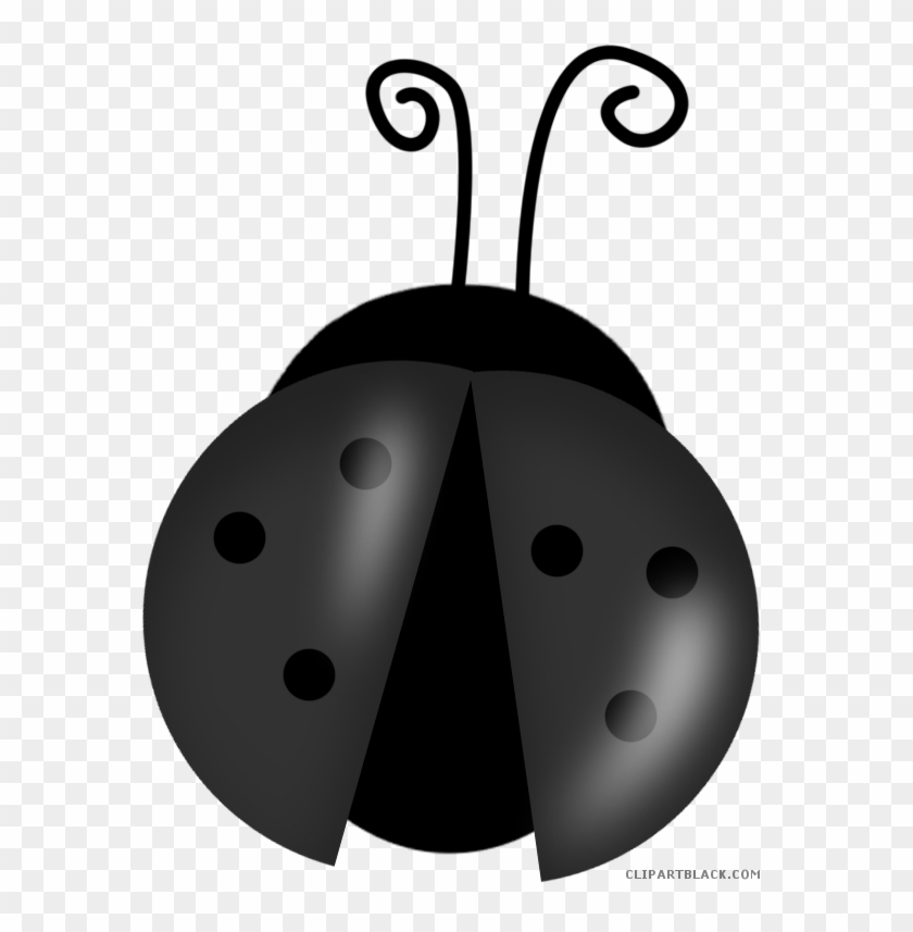 Cartoon Ladybug Animal Free Black White Clipart Images - Ladybug Clip Arts #1241752
