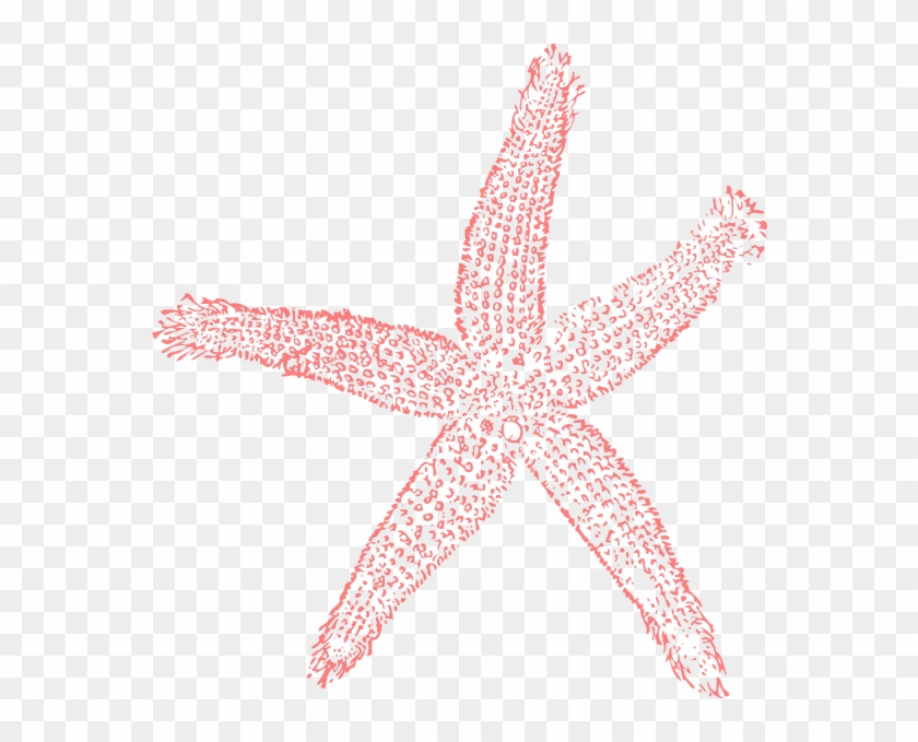 Coral With A Transparent Background #1242589