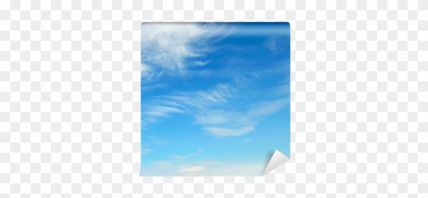 Sea #1243061