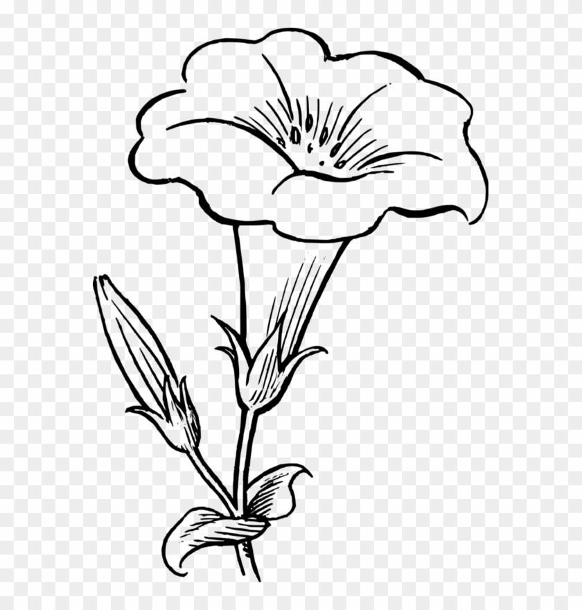 Free Spring Flowers Clipart Transparent Background - Flower Clipart Black And White #1243099