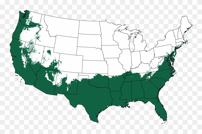 Plant Hardiness Zones 7-11 - Magnolia Tree Growing Zone #1244224
