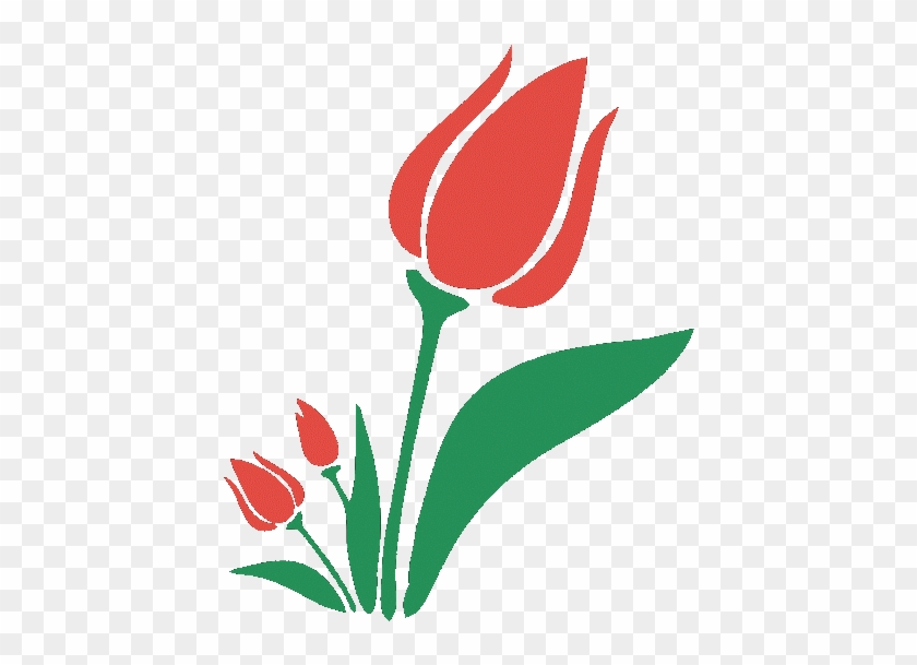 Photo - Sprenger's Tulip #1244548