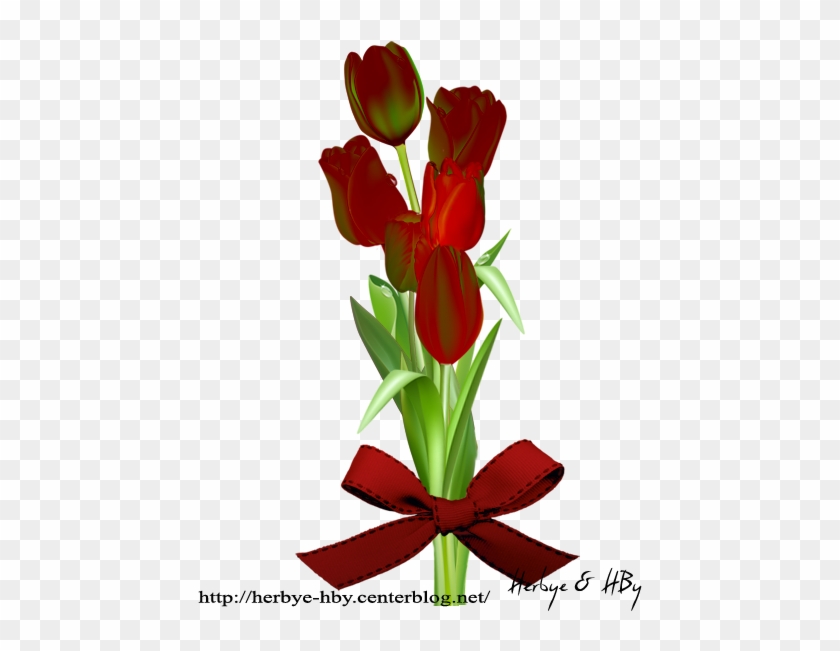 Partager - - Sprenger's Tulip #1244562