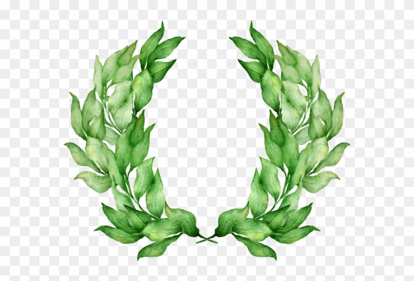 Laurel Wreath Olive Wreath Stock Photography Bay Laurel - Vector Graphics #1244794