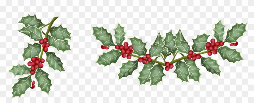 Imágenes De Flores De Navidad - Currant #1244806