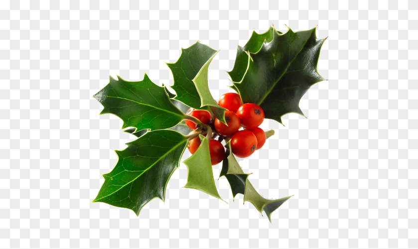 El Pessebre - Holly #1244808