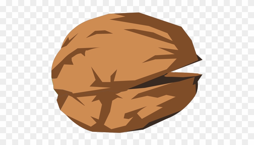 Walnut Shell - Illustration #1245153