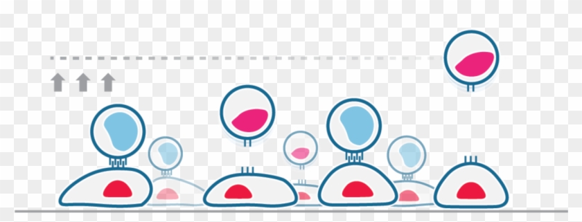 Circle #1245648