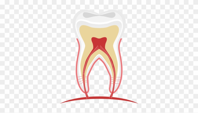 Hidroxido De Calcio Endodoncia #1245790