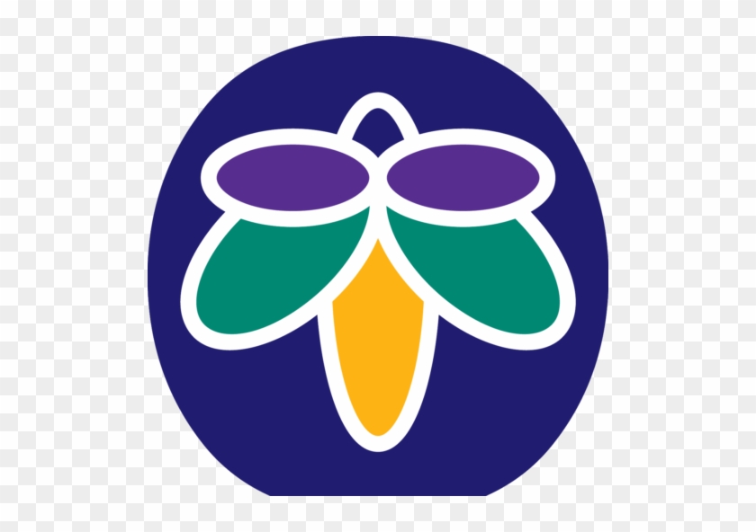 Neighborhood Alliance Of Central Oklahoma Inc #1245869
