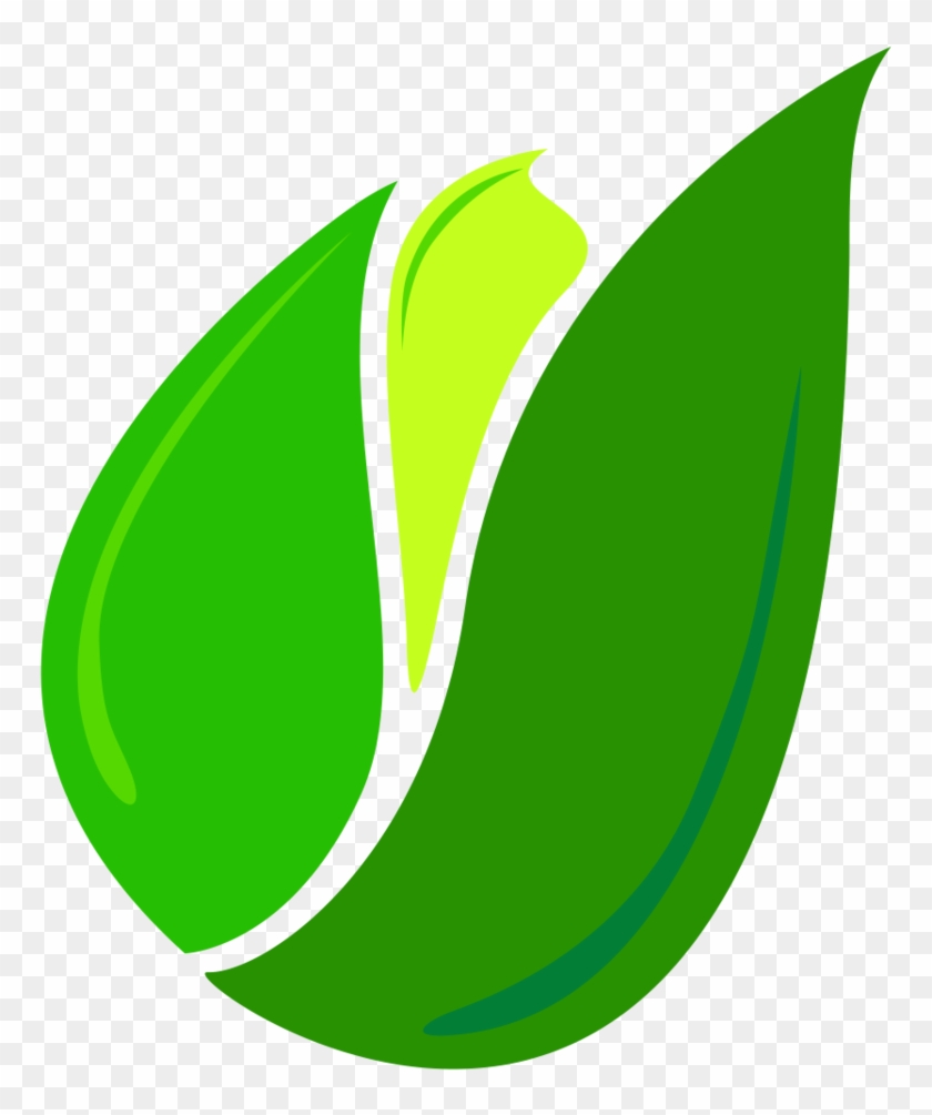   T Logo Leaf Png #1246078