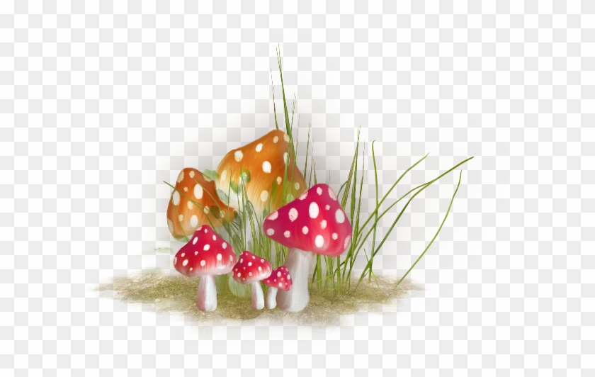 سكرابز الغراب للتصميم بدون تحميل 3dlat - Mushroom #1246144
