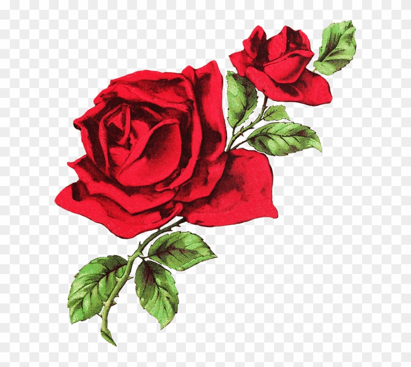 Drawn Rose Transparent - White And Red Aesthetic Header #1247391