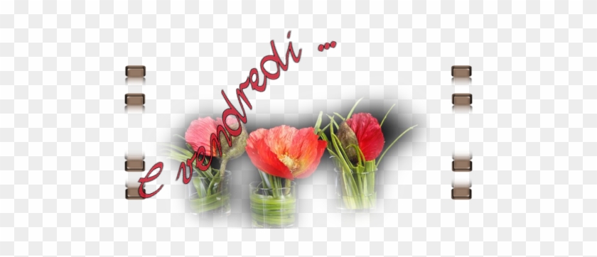 Répondre - Tulip #1248065