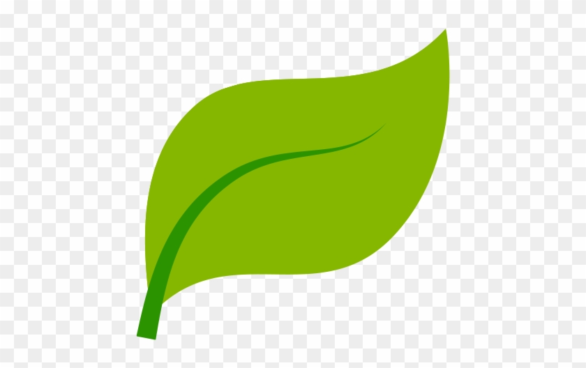 Tea - Transparency #1248500