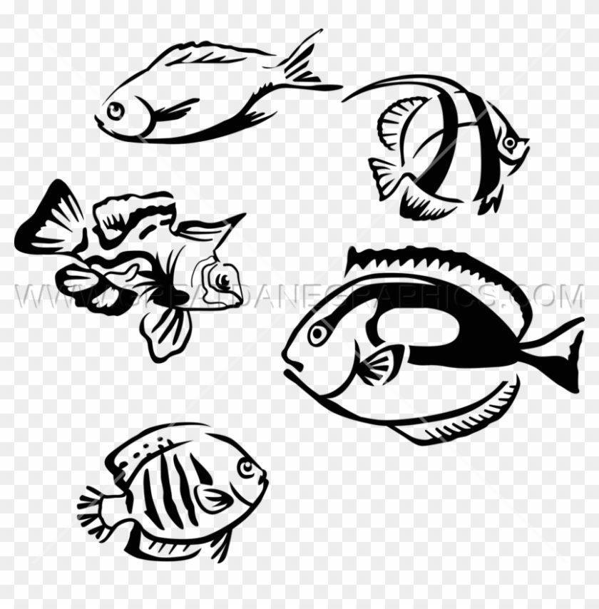 Tropical Fish - Tropical Fish #1248571