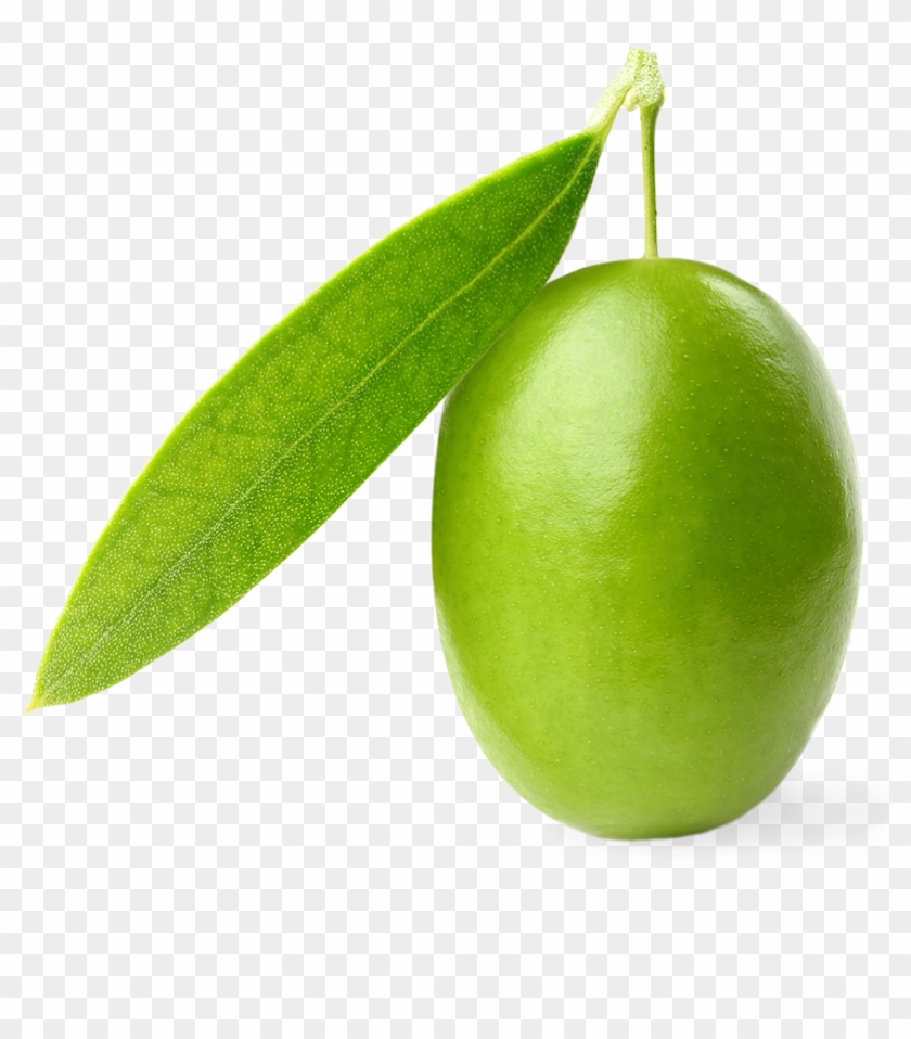Olive #1249647