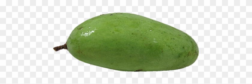 Indian Green Mangoes 1 Piece - Gourd #1249655