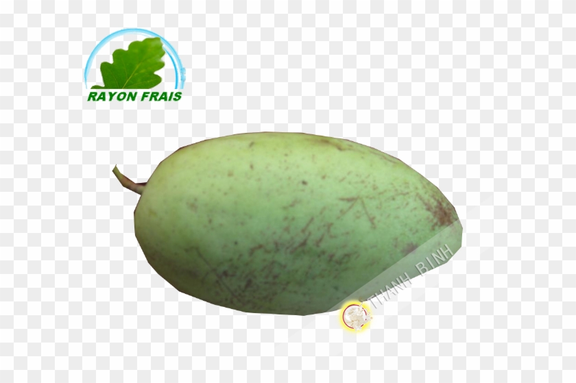 Mango #1249693