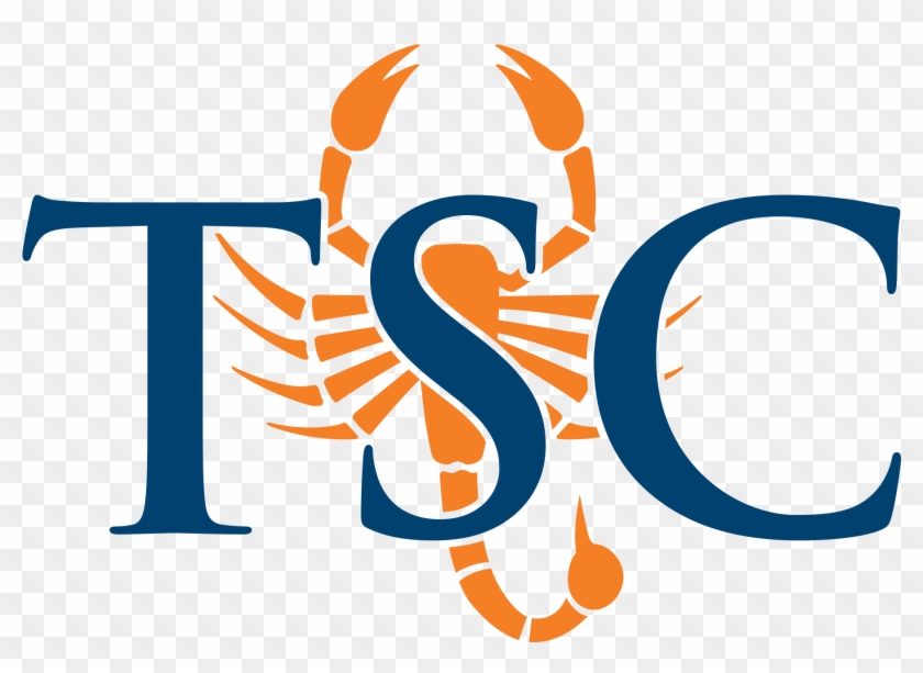 Colors - Utb Scorpion #1249772