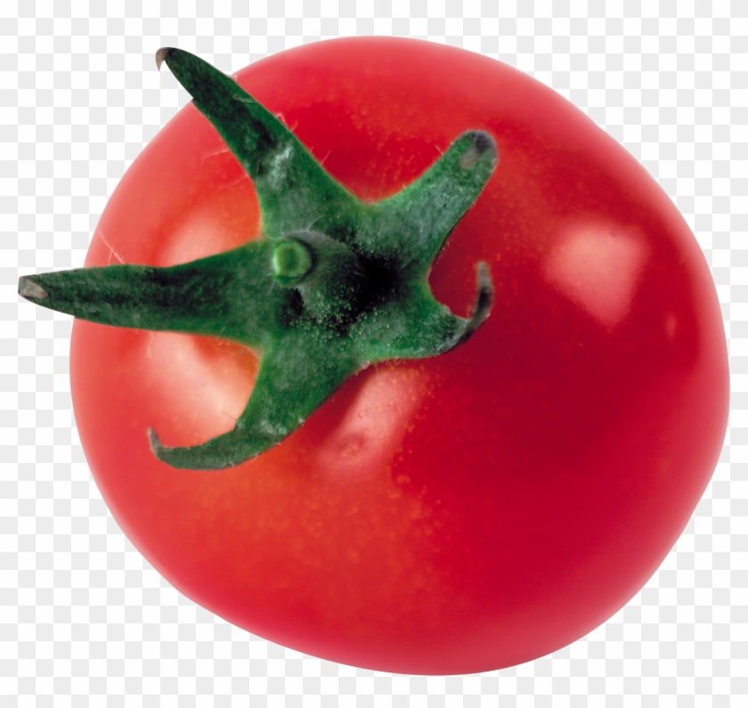 Tomato Png Images Free Download - Tomato Png Images Free Download #1250259