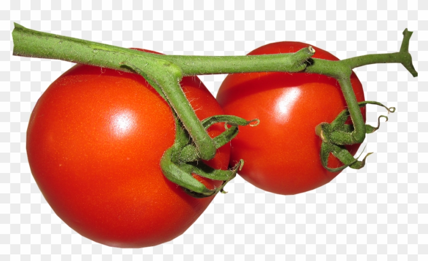 Food #1250285