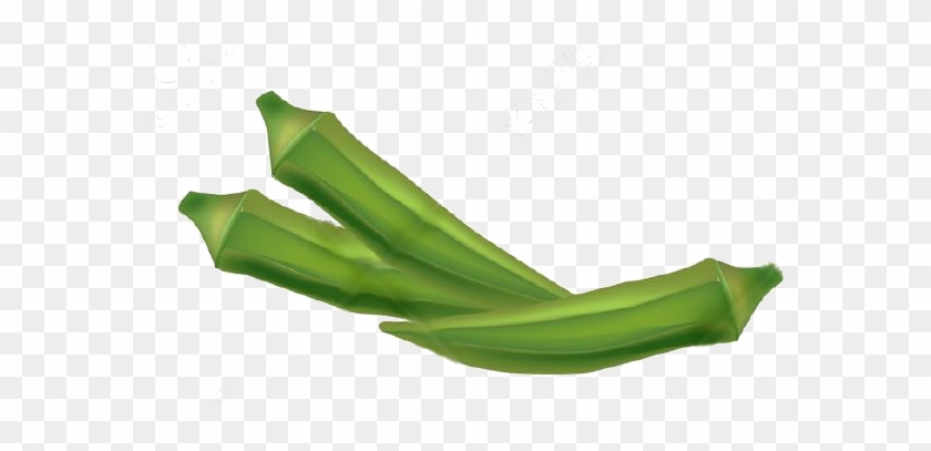 Okra - Okra Clipart Png #1250559