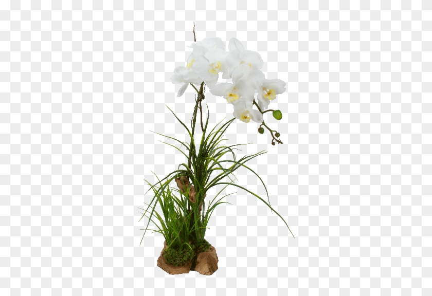 Artificial Orchid Double White - White Orchid Flowers Png Hd #1250672