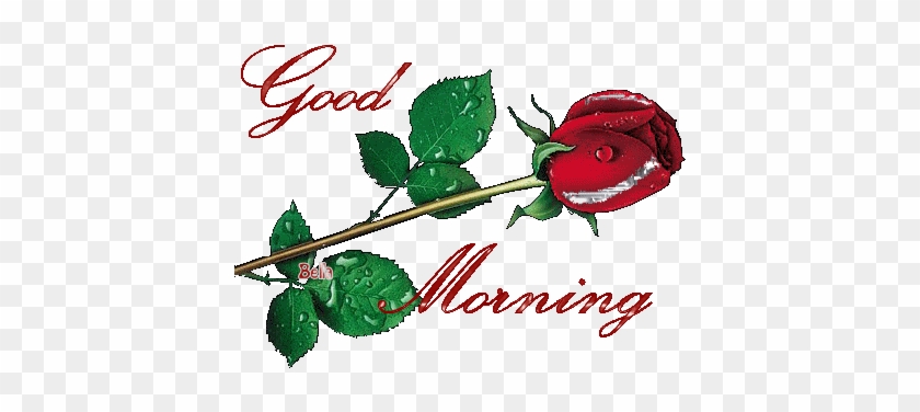 Random Images Good Morning Wallpaper And Background - Good Morning With Rangoli #1250719