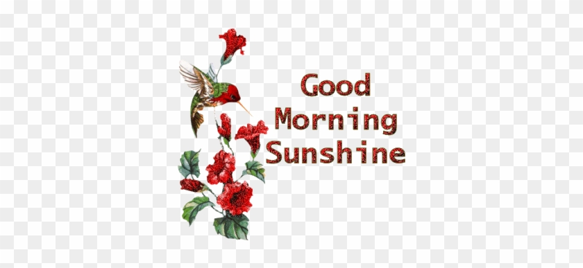 New God Images Of Good Morning God Morgon Triss I Damer - Red Hummingbird Throw Blanket #1250783