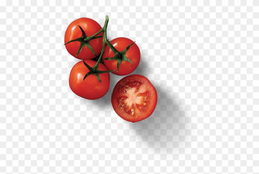 Why We Need Organic Food - Restaurant #1253458