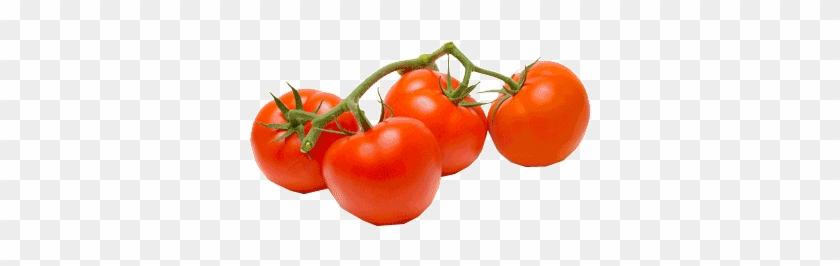Vine - Hanging Tomato Planter - Grow Your Own Tomatoes #1253463