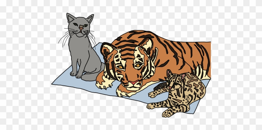 Una Introducción Para Nuevos Programadores Cat - Javascript For Cats #1253599