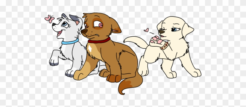Puppy #1256079