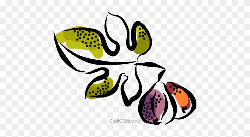 Figs Royalty Free Vector Clip Art Illustration - Figs Royalty Free Vector Clip Art Illustration #1256674