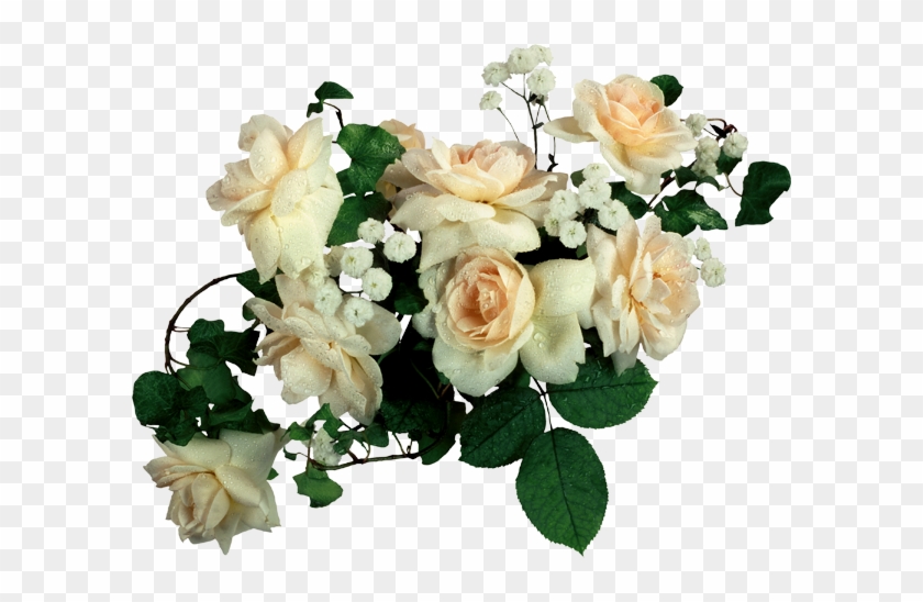 White Roses - Psd Frames For Photoshop Free #1256702