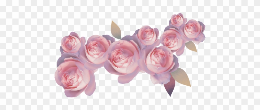 Transparent Flower Crown Red What - Png Flowers #1256929