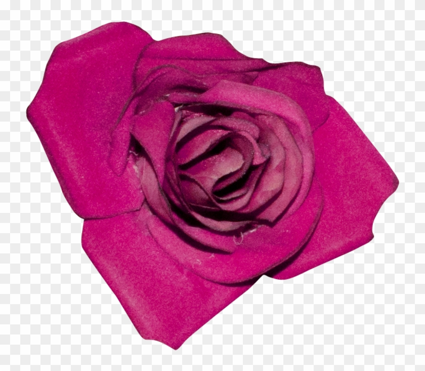 0 15d9b5 D22d602f Xl - Floribunda #1257018