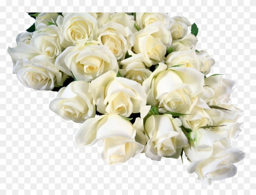 This Page Contains All About Red And White Flowers - Frames #1257211