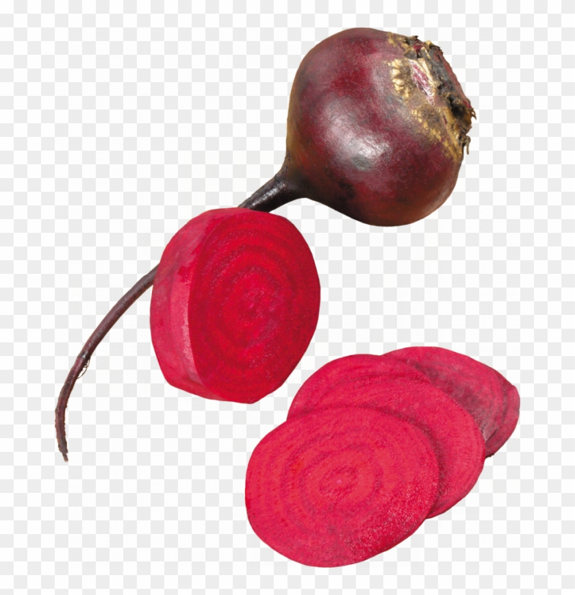 Beet Png - Photography #1257993