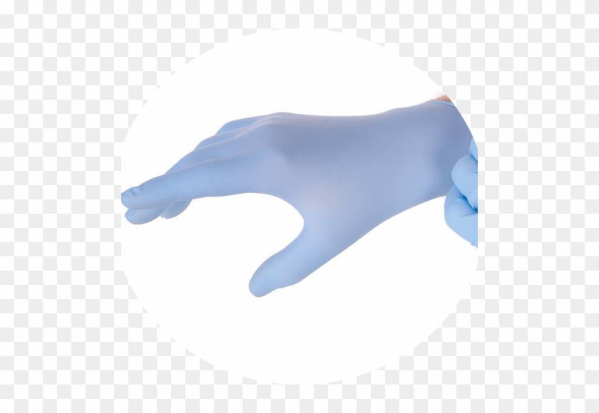 4mil Nitrile Examination Gloves, Powder Free - Aroganz #1258108