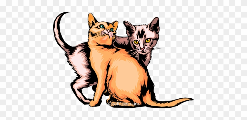Baby Kittens Royalty Free Vector Clip Art Illustration - Panleukopenia Patogenesis #1258895