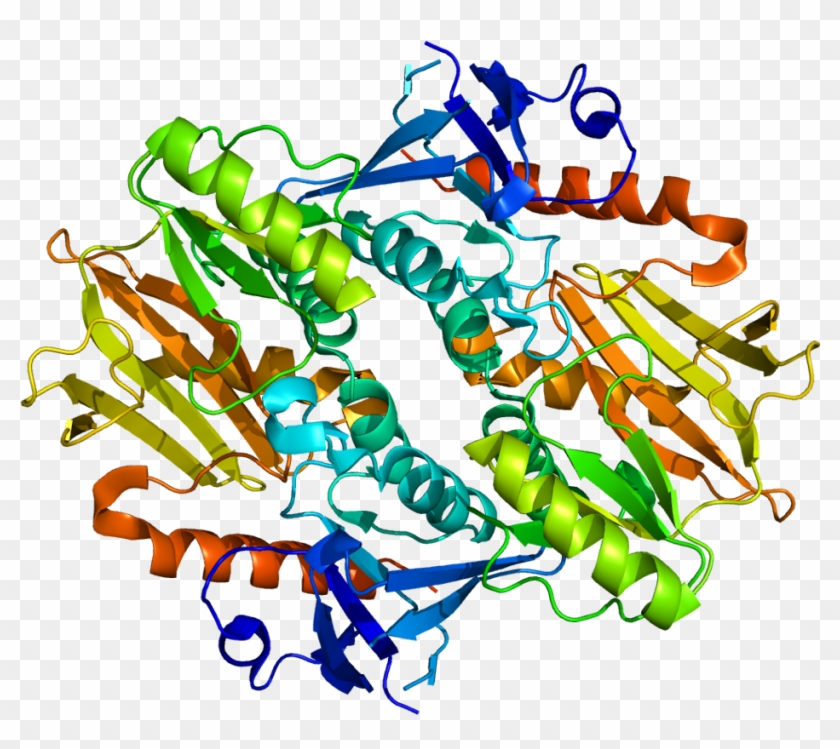 Protein Syn3 Pdb 2p0a - Protein Syn3 Pdb 2p0a #1259055