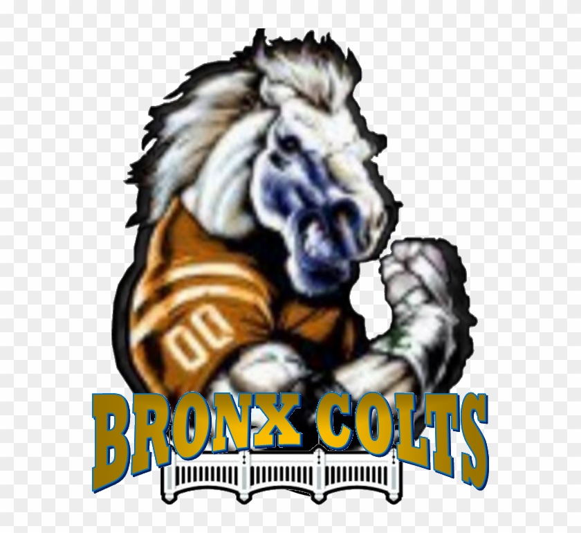 Bronx Colts - Bronx Colts #1259278