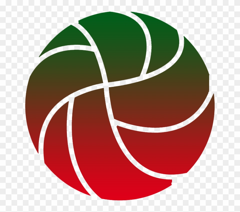 Volleyball Australia Logo #1259491