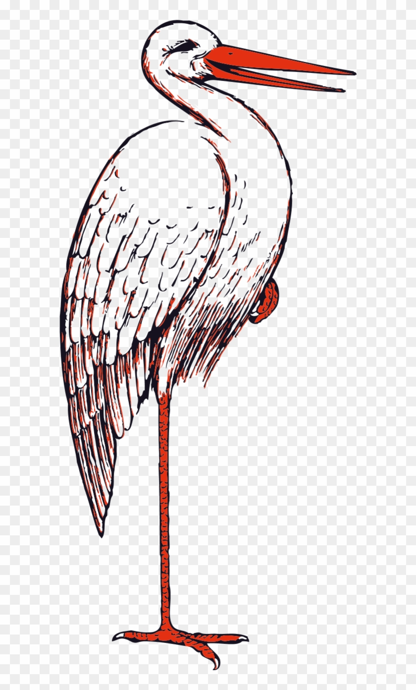 Sea Bird Clipart Bird Beak - Stork Clip Art #1260053