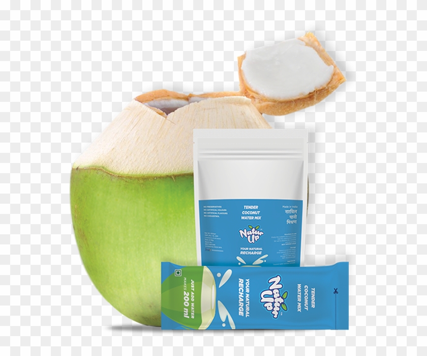 Naturup Tender Coconut Water Powder Mix - Comfort #1260127