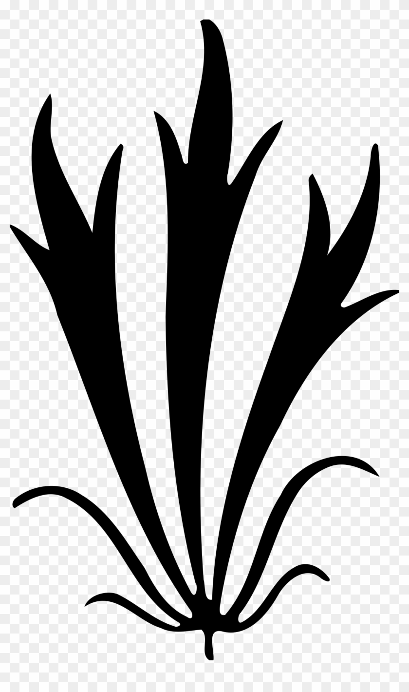 Plant - Plant #1260346